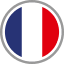 France Flag Logo